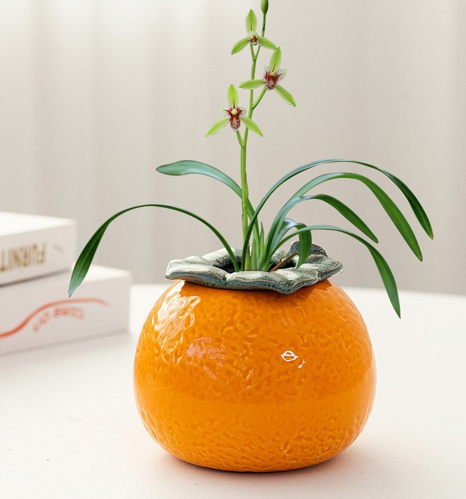 Contenedor Creativo para Té – Jarrón Hidropónico