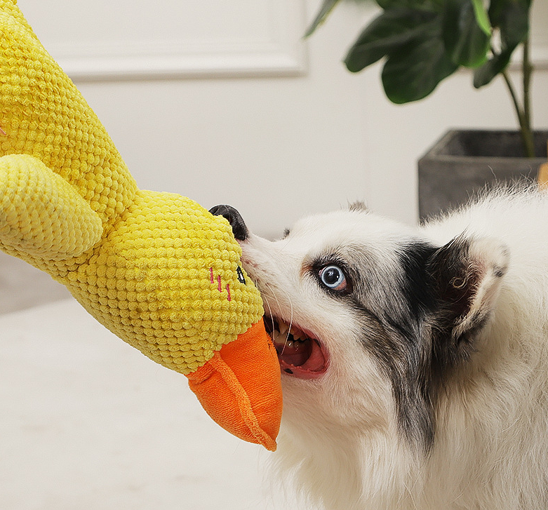 Juguete para perros con forma de pato cuac-cuac