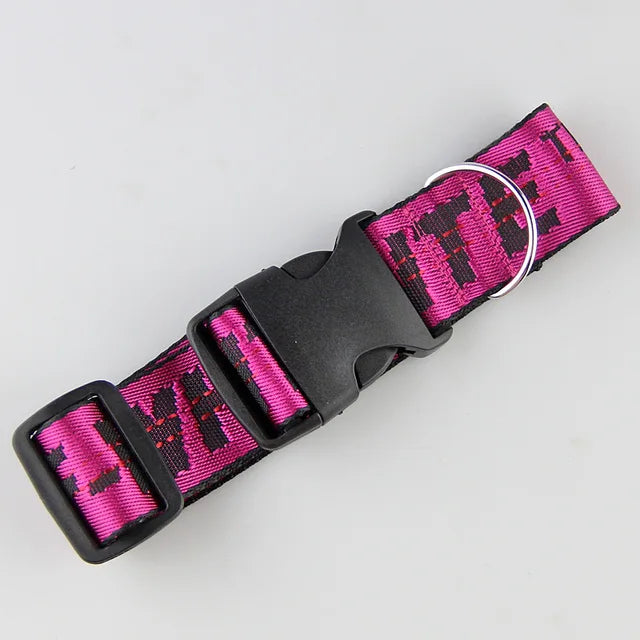 https://ae01.alicdn.com/kf/S431efac539944f6ebc40b78b5abd7eceX/Fashion-Dog-Collar-Leash-Set-Gold-Chain-Nylon-Pets-Dog-Collar-Leash-Long-Rope-Lettered-Collar.jpg_640x640.jpg