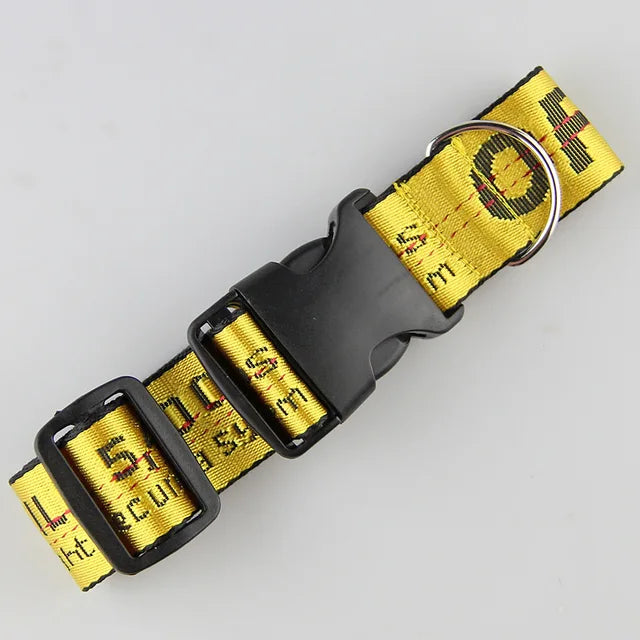 https://ae01.alicdn.com/kf/S2db9ae9433b9433e9bca224fd215023aG/Fashion-Dog-Collar-Leash-Set-Gold-Chain-Nylon-Pets-Dog-Collar-Leash-Long-Rope-Lettered-Collar.jpg_640x640.jpg