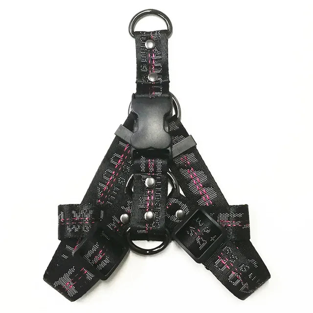 https://ae01.alicdn.com/kf/S933c08231ddc42b989603603ada9427bR/Fashion-Dog-Collar-Leash-Set-Gold-Chain-Nylon-Pets-Dog-Collar-Leash-Long-Rope-Lettered-Collar.jpg_640x640.jpg