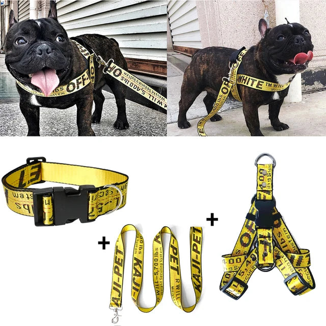 https://ae01.alicdn.com/kf/S8b17a7002205443680af4dcb54a612984/Fashion-Dog-Collar-Leash-Set-Gold-Chain-Nylon-Pets-Dog-Collar-Leash-Long-Rope-Lettered-Collar.jpg_640x640.jpg