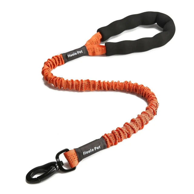 https://ae01.alicdn.com/kf/Sb26d7f3f22ed48eaaf2ca5aaaf1f3f31L/Flexible-Leash-for-Dog-Cushioning-Explosion-proof-Buffering-Elastic-Rope-Large-and-Fiercely-Strong.jpg_640x640.jpg