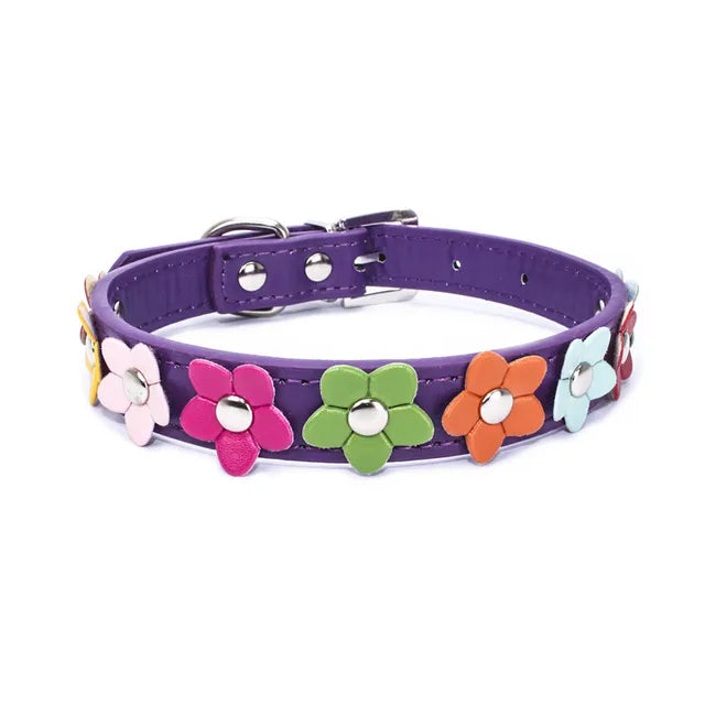 https://ae01.alicdn.com/kf/S77e0018871404eaa8266c566c17d3c699/Flowers-Pet-Dog-Collar-Leash-PU-Leather-Cat-Collier-Chain-Neck-Strap-for-Small-Middle-Large.jpg_640x640.jpg