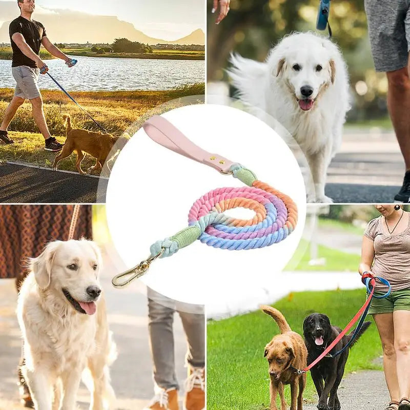 https://ae01.alicdn.com/kf/S9ba6a05059e04b8d96cf6991b17b270bs/Heavy-Duty-Dog-Leash-Training-Rope-Durable-Pet-Traction-Rope-With-Comfortable-Handle-Colorful-Cat-Harness.jpg