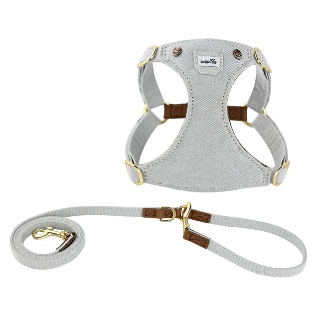 https://ae01.alicdn.com/kf/Sab36a58fb9da4e2286e00941a961918cr/Lightweight-Dog-Harness-And-Leash-Set-Luxury-Designer-Pet-Vest-Harness-Metal-Buckle-Walking-Traction-Rope.jpg_640x640.jpg