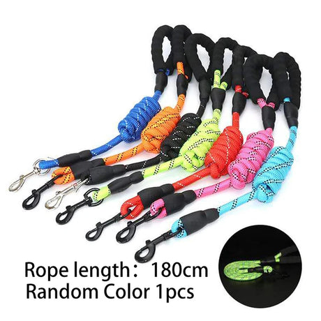 https://ae01.alicdn.com/kf/S7f9d27a65fc2493fb2b5b4ce4b9278e39/1-5M-Long-Pet-Leash-Reflective-Strong-Dog-Leash-with-Comfortable-Padded-Handle-Heavy-Duty-Training.jpg_640x640.jpg