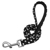https://ae01.alicdn.com/kf/HTB15pDweoKF3KVjSZFEq6xExFXar/4ft-Walking-Dog-Leash-for-Small-Medium-Dogs-Cats-Soft-Nylon-Polka-Dot-Pet-Lead-Pitbull.jpg_640x640.jpg