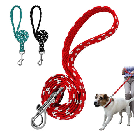 https://ae01.alicdn.com/kf/HTB1mYnzekWE3KVjSZSyq6xocXXaC/4ft-Walking-Dog-Leash-for-Small-Medium-Dogs-Cats-Soft-Nylon-Polka-Dot-Pet-Lead-Pitbull.jpg