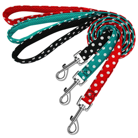 https://ae01.alicdn.com/kf/HTB1rWTDelGw3KVjSZFDq6xWEpXaw/4ft-Walking-Dog-Leash-for-Small-Medium-Dogs-Cats-Soft-Nylon-Polka-Dot-Pet-Lead-Pitbull.jpg