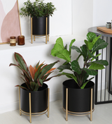 Florero Nórdico Redondo de Hierro Forjado Negro