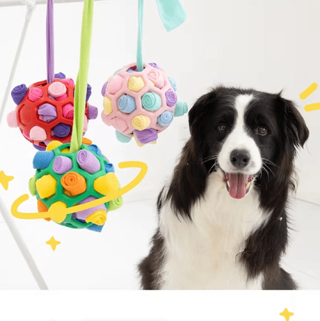 https://static.hzpdex.com/product/20240809/7244f8da-cf48-4b91-bb22-6e8aa053dff7.png
