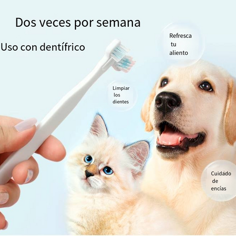 https://static.hzpdex.com/867f501e-e5b2-4318-8c43-8432d2b6db7e.png
