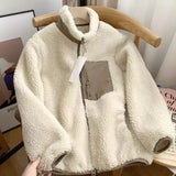 https://ae01.alicdn.com/kf/Sbd2ef67749a74a698b07e17732a92d5e1/Autumn-and-Winter-Japanese-Men-s-and-Women-s-Fleece-Stand-Neck-Jacket-Couple-Zipper-Loose.jpg_640x640.jpg