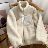 https://ae01.alicdn.com/kf/S9f099413fa8343a0bdac027f310a0aafK/Autumn-and-Winter-Japanese-Men-s-and-Women-s-Fleece-Stand-Neck-Jacket-Couple-Zipper-Loose.jpg