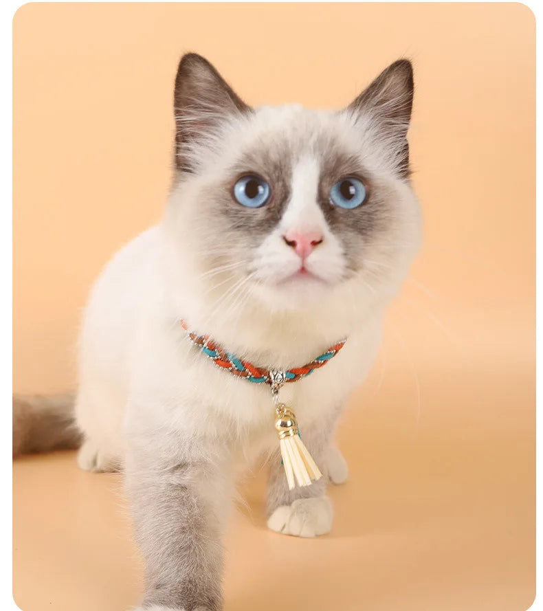 https://ae01.alicdn.com/kf/S7d6ce3259ec2419e8b104e06f51ace63l/CINSYPet-Pendants-Jewelry-For-Cat-Collares-Para-Mujer-Trending-Products-Chains-Necklace-For-Dog-Constellation-Pet.jpg