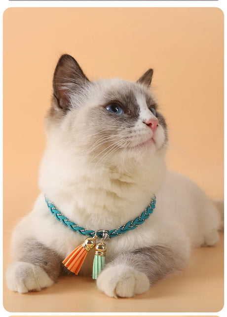 https://ae01.alicdn.com/kf/Sa7c2f514871a48078644e429370e38edx/CINSYPet-Pendants-Jewelry-For-Cat-Collares-Para-Mujer-Trending-Products-Chains-Necklace-For-Dog-Constellation-Pet.jpg