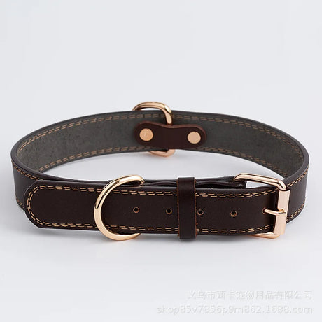 https://ae01.alicdn.com/kf/Hf2caa2d4be8841828fede8461c34b1fem/Dog-Collar-Leather-Collar-for-Dogs-Pet-Collar-Adjustable-Universal-for-Small-Medium-Large-Dogs-Pitbull.jpg