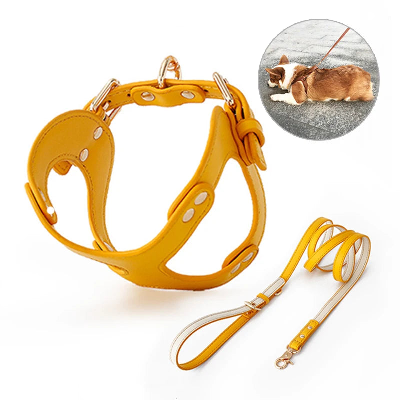 https://ae01.alicdn.com/kf/S4064e56c68b648fb81c2beebea81405df/Dog-Harness-Leash-Dog-Cat-Chest-Strap-Cat-Vest-Traction-Rope-Dog-Walking-Chain-Pet-Vest.jpg