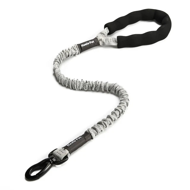 https://ae01.alicdn.com/kf/S5f5ee97aeafb4ec0afe1a1f64716b29bj/Flexible-Leash-for-Dog-Cushioning-Explosion-proof-Buffering-Elastic-Rope-Large-and-Fiercely-Strong.jpg_640x640.jpg
