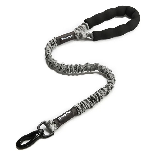 https://ae01.alicdn.com/kf/S19bcb4e396b0431888ab3030a08cbf06c/Flexible-Leash-for-Dog-Cushioning-Explosion-proof-Buffering-Elastic-Rope-Large-and-Fiercely-Strong.jpg_640x640.jpg