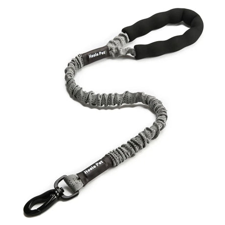 https://ae01.alicdn.com/kf/S19bcb4e396b0431888ab3030a08cbf06c/Flexible-Leash-for-Dog-Cushioning-Explosion-proof-Buffering-Elastic-Rope-Large-and-Fiercely-Strong.jpg_640x640.jpg
