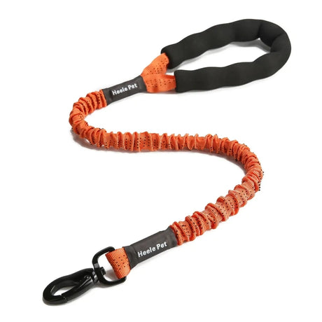 https://ae01.alicdn.com/kf/Sb26d7f3f22ed48eaaf2ca5aaaf1f3f31L/Flexible-Leash-for-Dog-Cushioning-Explosion-proof-Buffering-Elastic-Rope-Large-and-Fiercely-Strong.jpg_640x640.jpg