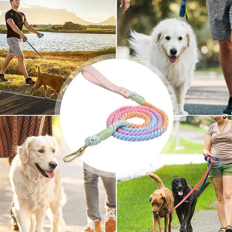 https://ae01.alicdn.com/kf/S9ba6a05059e04b8d96cf6991b17b270bs/Heavy-Duty-Dog-Leash-Training-Rope-Durable-Pet-Traction-Rope-With-Comfortable-Handle-Colorful-Cat-Harness.jpg