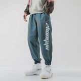 https://ae01.alicdn.com/kf/Sb26021935cbf4a36aac500a5672c24a3E/Hip-Hop-Trendy-Men-Casual-Reflective-Sweatpants-Spring-Autumn-Korean-Streetwear-Fashion-New-Baggy-Elastic-Waist.jpg_640x640.jpg
