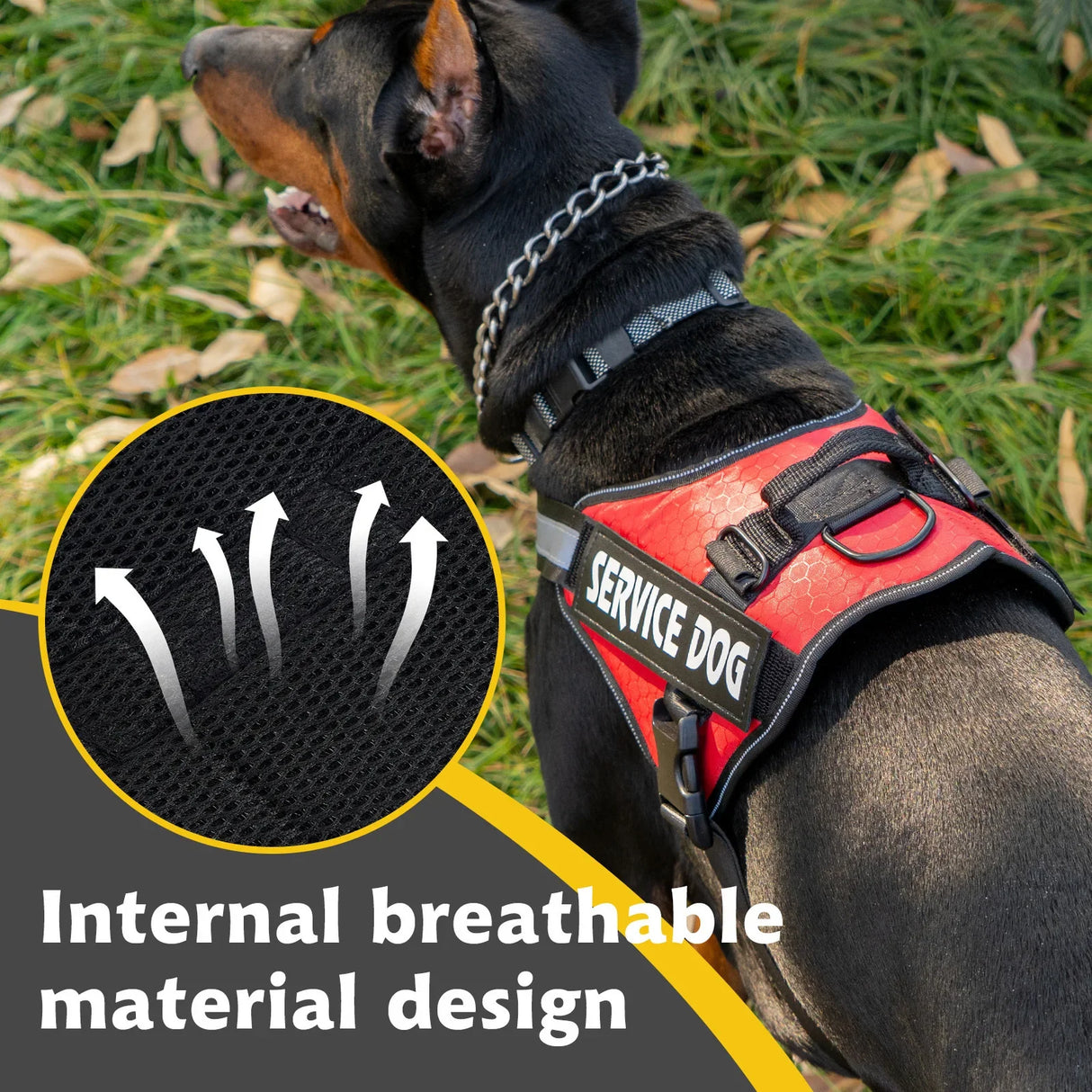 https://ae01.alicdn.com/kf/S951024c23d7f4d6ea17c655590b11b8dK/Large-Dog-Harnesses-French-Bulldog-vest-Harness-Adjustable-Pet-Vest-Reflective-Breathable-Outdoor-Dog-Walking-Supplies.jpg