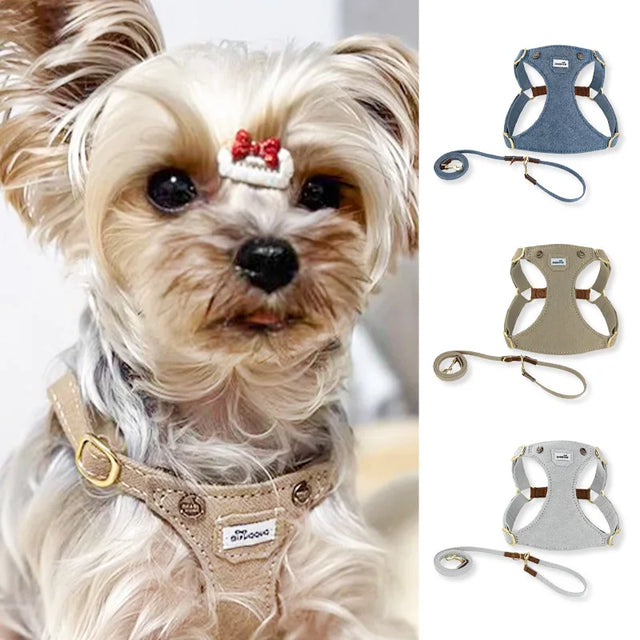 https://ae01.alicdn.com/kf/S0db0434a90284f369f62857cb83f44cdO/Lightweight-Dog-Harness-And-Leash-Set-Luxury-Designer-Pet-Vest-Harness-Metal-Buckle-Walking-Traction-Rope.jpg