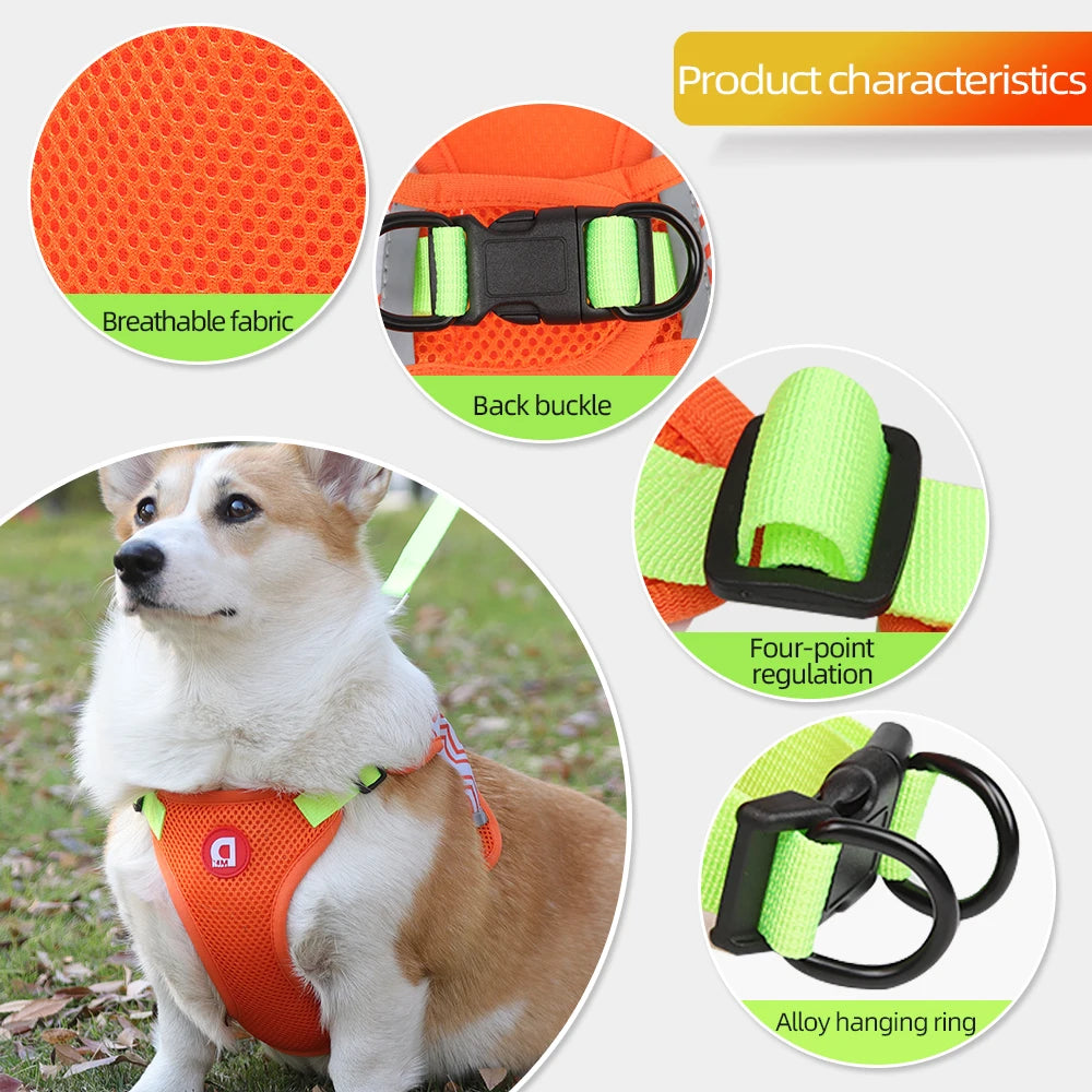 https://ae01.alicdn.com/kf/S9183524dae2342aaa77a15644a97b5006/No-Pull-Dog-Vest-Harness-Leash-Set-For-Small-Large-Dogs-Breathable-Mesh-Chest-Strap-Puppy.jpg