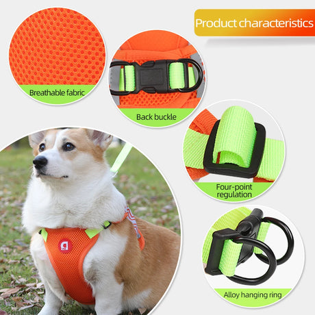 https://ae01.alicdn.com/kf/S9183524dae2342aaa77a15644a97b5006/No-Pull-Dog-Vest-Harness-Leash-Set-For-Small-Large-Dogs-Breathable-Mesh-Chest-Strap-Puppy.jpg