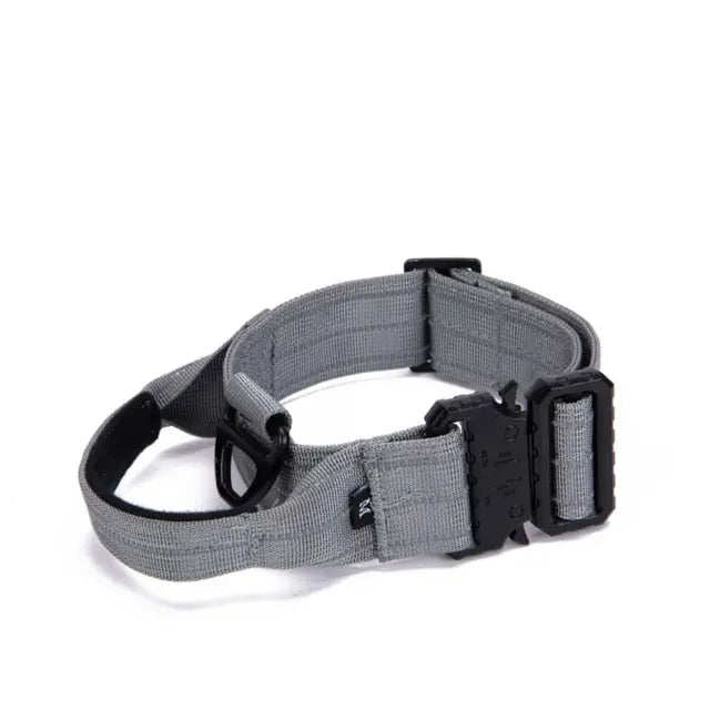https://ae01.alicdn.com/kf/S5484480d276947858ebcc2193023ec60B/Reflective-Material-Tactical-Dog-Collar-Military-Nylon-with-Alloy-Buckle-Pet-Leash-Adjustable-Dog-Harnesses-Heavy.jpg_640x640.jpg