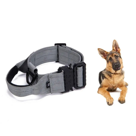https://ae01.alicdn.com/kf/S85619c7100aa400baff9c55fb4328df4k/Reflective-Material-Tactical-Dog-Collar-Military-Nylon-with-Alloy-Buckle-Pet-Leash-Adjustable-Dog-Harnesses-Heavy.jpg