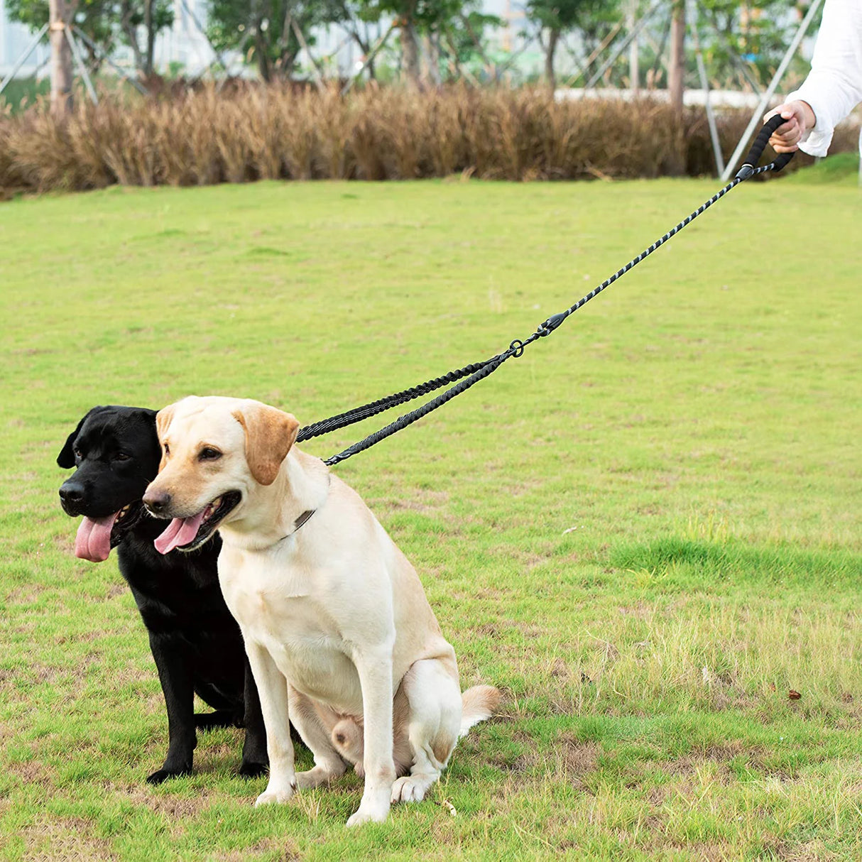 https://ae01.alicdn.com/kf/H2b22231b9796425993217665b4e29af3C/WALK-2-Two-DOGS-Leash-COUPLER-Double-Twin-Lead-Walking-Dog-Leashes.jpg