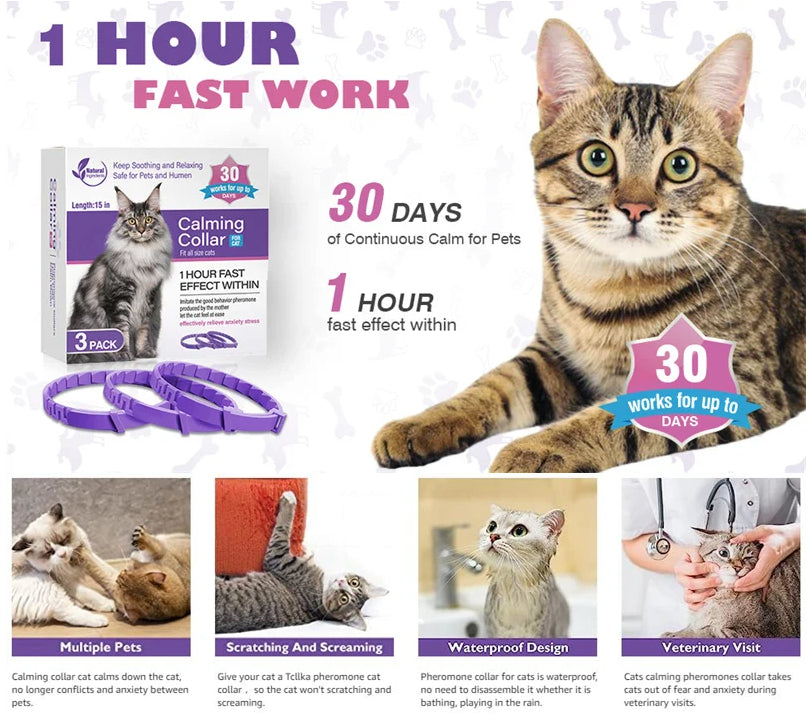 Collares calmantes para mascotas