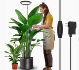 https://static.hzpdex.com/ad016038-6401-43e5-aaaf-f730f5b0829f.png
