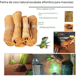 https://static.hzpdex.com/afb4d987-0fc7-4c10-bb0d-bd7a714a4d67.png