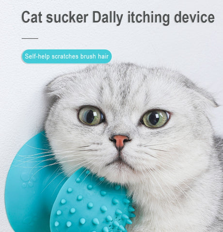 https://static.hzpdex.com/cd841cde-efd2-44cf-aaee-373fa61af6ec.png