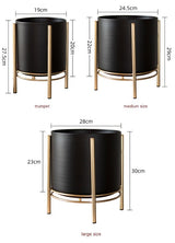 Florero Nórdico Redondo de Hierro Forjado Negro